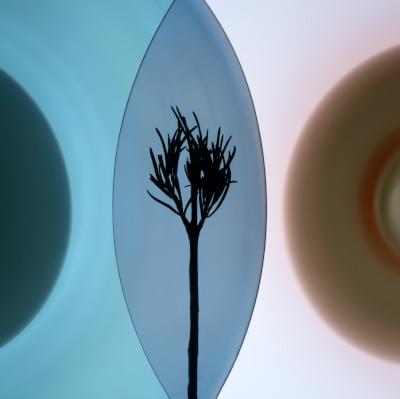 Transparences éphémères - Romarin 5 carré.jpg